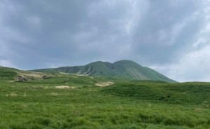 IMG_3731
